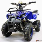 Электроквадроцикл GreenCamel Гоби K31 (36V 800W R6 Цепной привод)