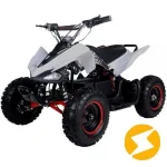 Электроквадроцикл ATV ATEA 500G — изображение 2