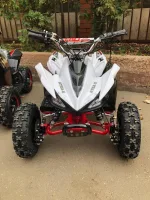 Электроквадроцикл ATV ATEA 500G — изображение 3