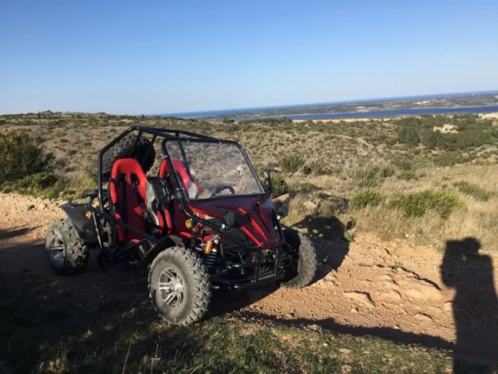 Багги GreenCamel Намиб A5000 (60V 3999W R10 Дифференциал) — изображение 9