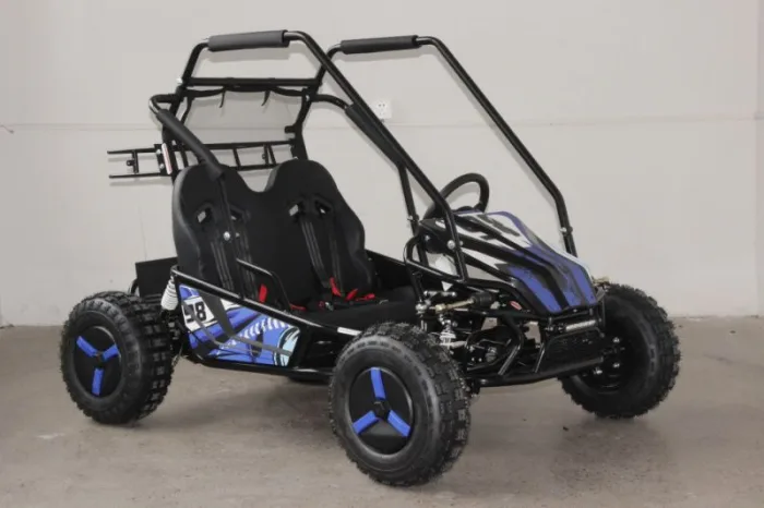 Багги GreenCamel Намиб T10 (60V 2000W R8 Дифф) — изображение 7