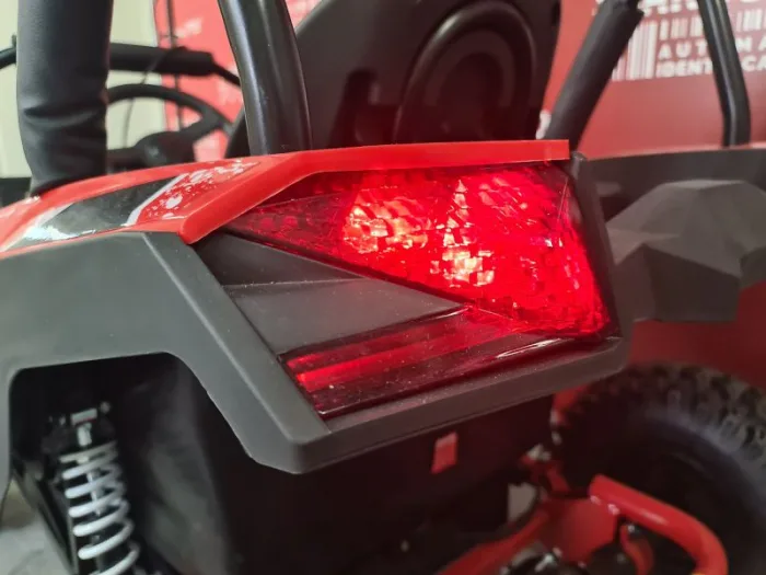 Багги SCANMOTO Cobra Красный — изображение 13