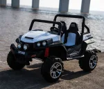 Детский электромобиль RiverToys BUGGY T009TT original — изображение 2