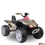 Электроквадроцикл А001МР River Toys