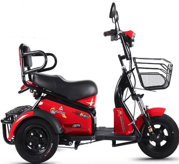 Электротрицикл E-trike Donny -  (трехколесный электроскутер) — изображение 2