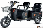 Электротрицикл пассажирский и грузовой E-trike Pass&Cargo — изображение 2