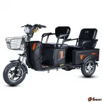 Электротрицикл пассажирский и грузовой E-trike Pass&Cargo — изображение 3