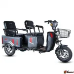 Электротрицикл пассажирский и грузовой E-trike Pass&Cargo — изображение 4