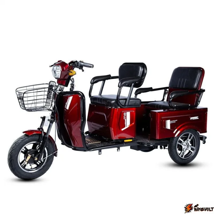 Электротрицикл пассажирский и грузовой E-trike Pass&Cargo — изображение 5