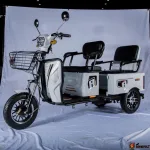 Электротрицикл пассажирский и грузовой E-trike Pass&Cargo — изображение 9