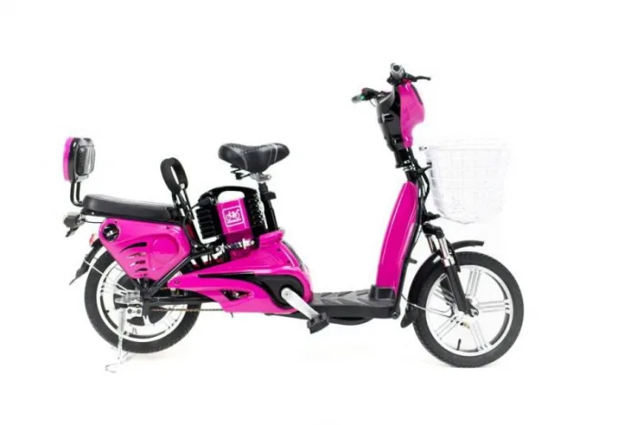 Электроскутер-мопед двухместный - Elbike Dacha 400W 48В/12Ач — изображение 3