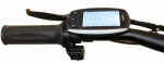 Электровелосипед Volteco Bigcat Dual 1000 (Big Cat) — изображение 3