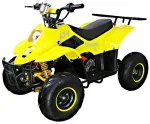 Электрический квадроцикл ATV CLASSIC 6Е (600W) — изображение 2