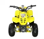 Электрический квадроцикл ATV CLASSIC 6Е (600W) — изображение 9