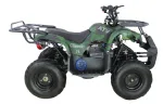 Электрический квадроцикл ATV CLASSIC 7Е 1000W — изображение 7
