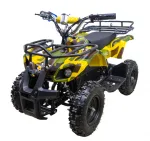 Электрический детский квадроцикл ATV Classic E 800W — изображение 4