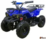 Электрический квадроцикл ATV CLASSIC E 800W NEW