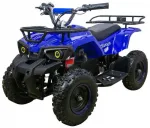 Электрический квадроцикл ATV CLASSIC E 800W NEW — изображение 2