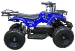 Электрический квадроцикл ATV CLASSIC E 800W NEW — изображение 12