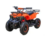 Электрический квадроцикл ATV CLASSIC E 800W NEW — изображение 3