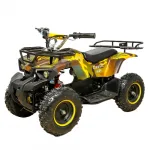 Электрический квадроцикл ATV CLASSIC E 800W NEW — изображение 5