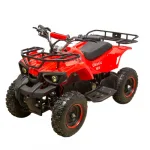 Электрический квадроцикл ATV CLASSIC E 800W NEW — изображение 6