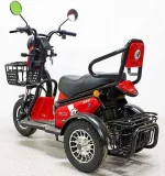 Электро трицикл GreenCamel Фродо BH2 (48V 500W) дифференциал — изображение 9
