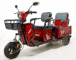 Электро трицикл GreenCamel Пони LE1 (48V 500W) дифференциал — изображение 2