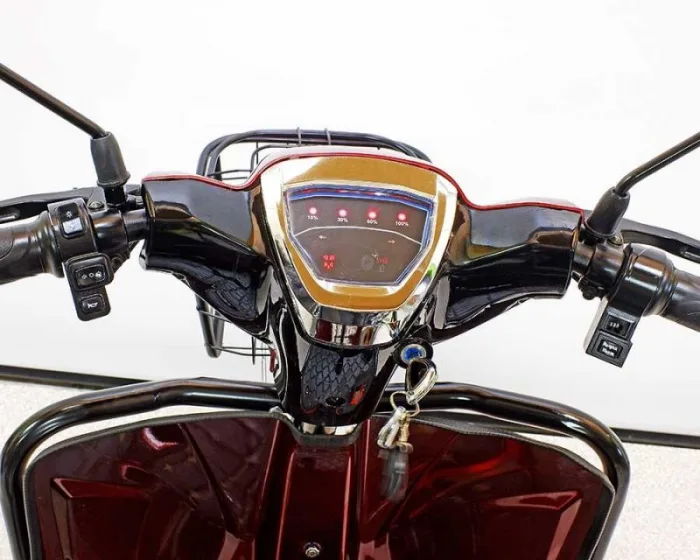 Электро трицикл GreenCamel Пони LE1 (48V 500W) дифференциал — изображение 15