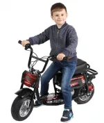 Электробайк Tanko T350 — изображение 2