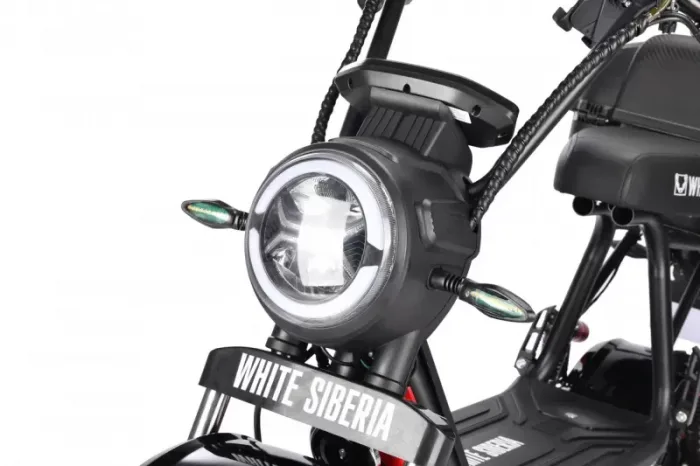 Электробайк WHITE SIBERIA MINI R  2.0 1200W — изображение 15