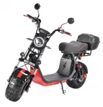 Электробайк WHITE SIBERIA PRO 2WD 4000W (полный привод) — изображение 2