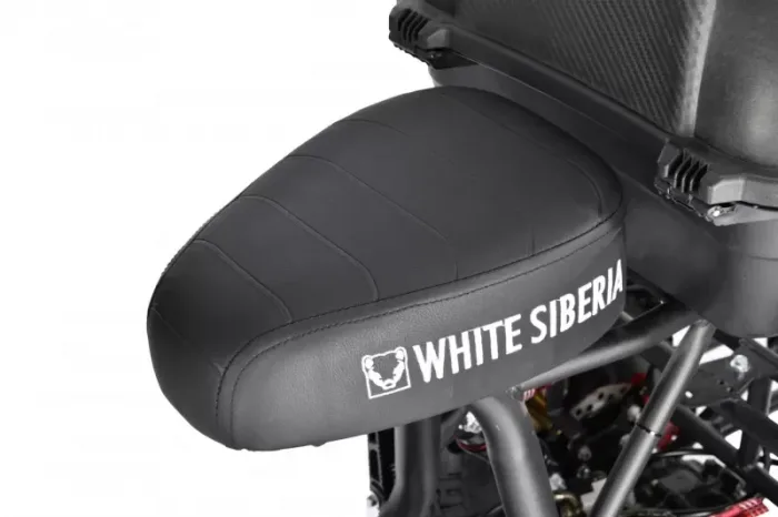 Электробайк WHITE SIBERIA TRIKE MINI 1500W — изображение 6