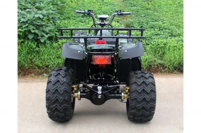 Электроквадроцикл E-toro Quadro 2000 — изображение 6