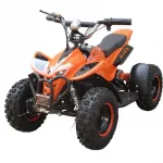 Детский электроквадроцикл MT-1 mini ATV(от 3-х лет) 800W 36V/12Ah — изображение 2
