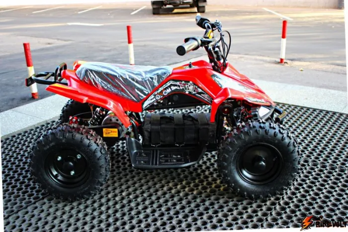 Электроквадроцикл Mytoy 800M 800W 36V12Ah — изображение 1