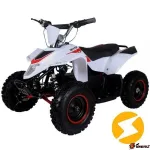 Электроквадроцикл ATV ATEA 500A