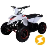 Электроквадроцикл ATV ATEA 500A — изображение 2