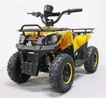 Электроквадроцикл детский GreenCamel Гоби K45 (36V 800W R6 Цепной привод) — изображение 14