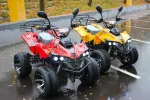 Электроквадроцикл Etoro E-2000B 1000W — изображение 2