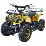 Электроквадроцикл Etoro EK-200 800W — изображение 2