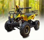 Электроквадроцикл Etoro EK-21 800W — изображение 2