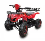 Электроквадроцикл Etoro EK-21 800W — изображение 6