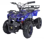 Электроквадроцикл Etoro EK-300 800W — изображение 2