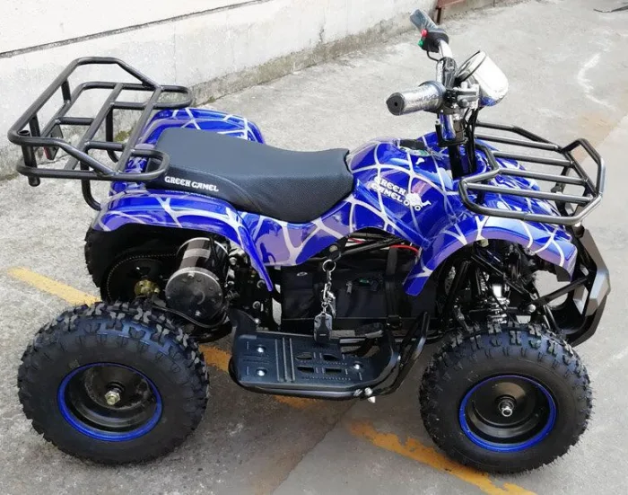 Электроквадроцикл Etoro EK-300 800W — изображение 4