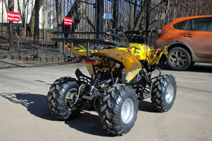 Электроквадроцикл Etoro ET-300 1000W — изображение 3