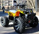 Электроквадроцикл E-toro ET-3000 3000W — изображение 14