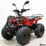 Электроквадроцикл GreenCamel Атакама T120 (48V 800W R8 Цепной привод)