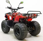 Электроквадроцикл GreenCamel Атакама T120 (48V 800W R8 Цепной привод) — изображение 6