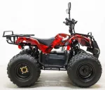 Электроквадроцикл GreenCamel Атакама T120 (48V 800W R8 Цепной привод) — изображение 8